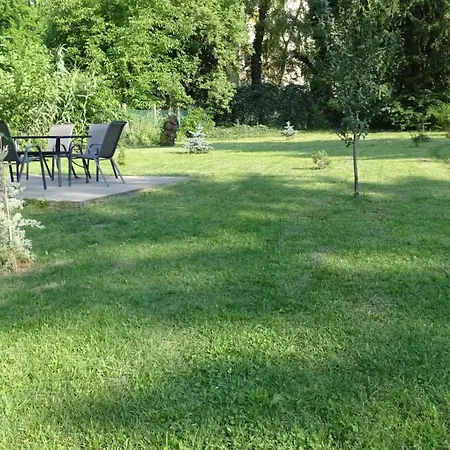 Panda * Esztergom
