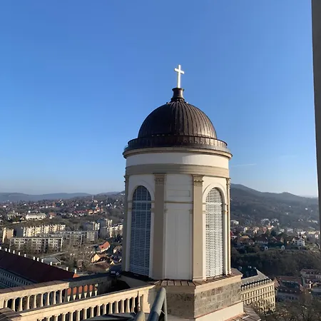 Panda Esztergom